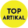 TOP ARTIKLI